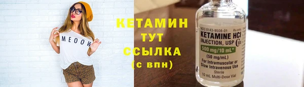сатива Кулебаки
