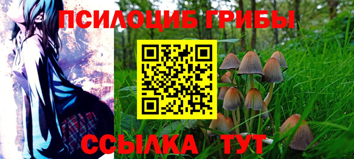 Галлюциногенные грибы GOLDEN TEACHER Таганрог