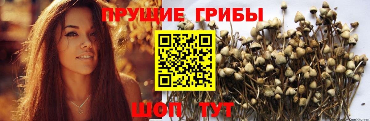 Галлюциногенные грибы мухоморы  Вход с VPN  Таганрог 